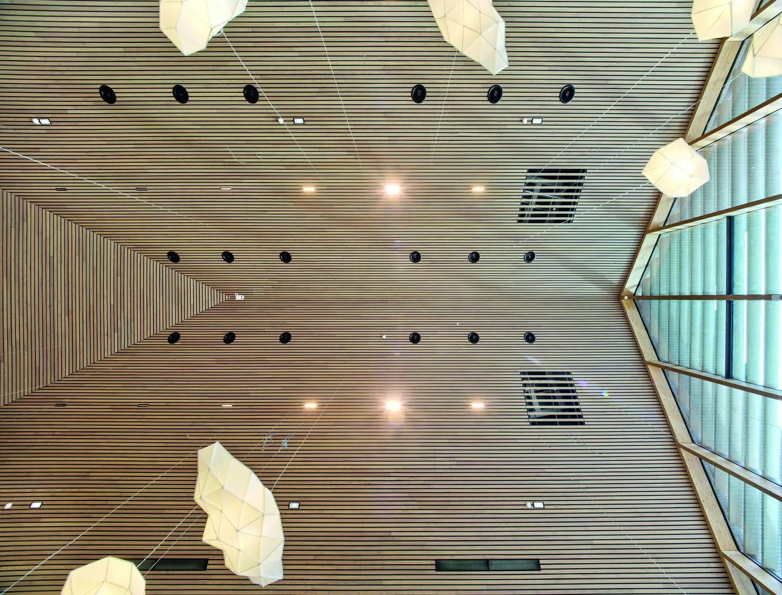 Plafond en lames de bois vu en contre-plong&eacute;e