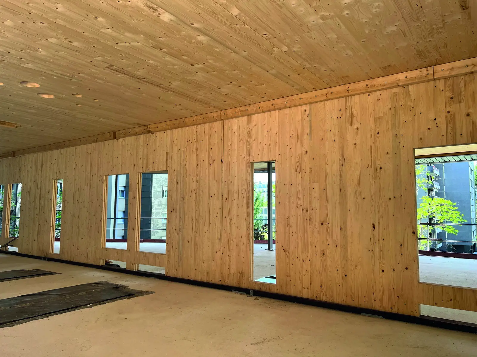 Espace int&eacute;rieur aux murs et plafond en CLT apparent, avec fen&ecirc;tres