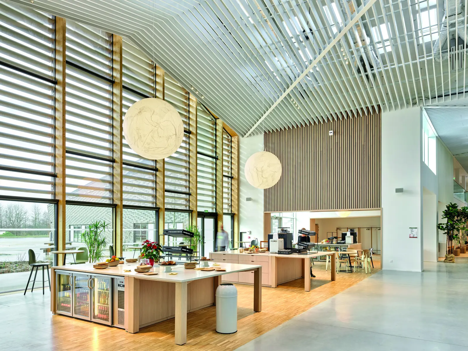 Caf&eacute; avec plafond &agrave; baffles et grandes baies vitr&eacute;es